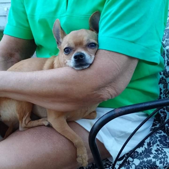 Meet your Posher, Ty - Picture 2 of 2